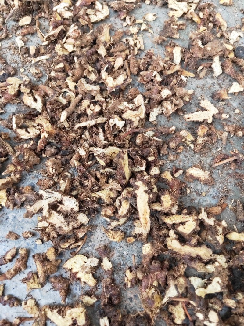 贵州野生优质淫羊藿片（仙灵脾）补肾阳强筋骨