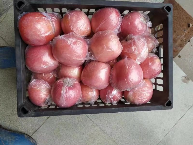山西万荣黄土高坡红富士苹果10斤装一件代发，