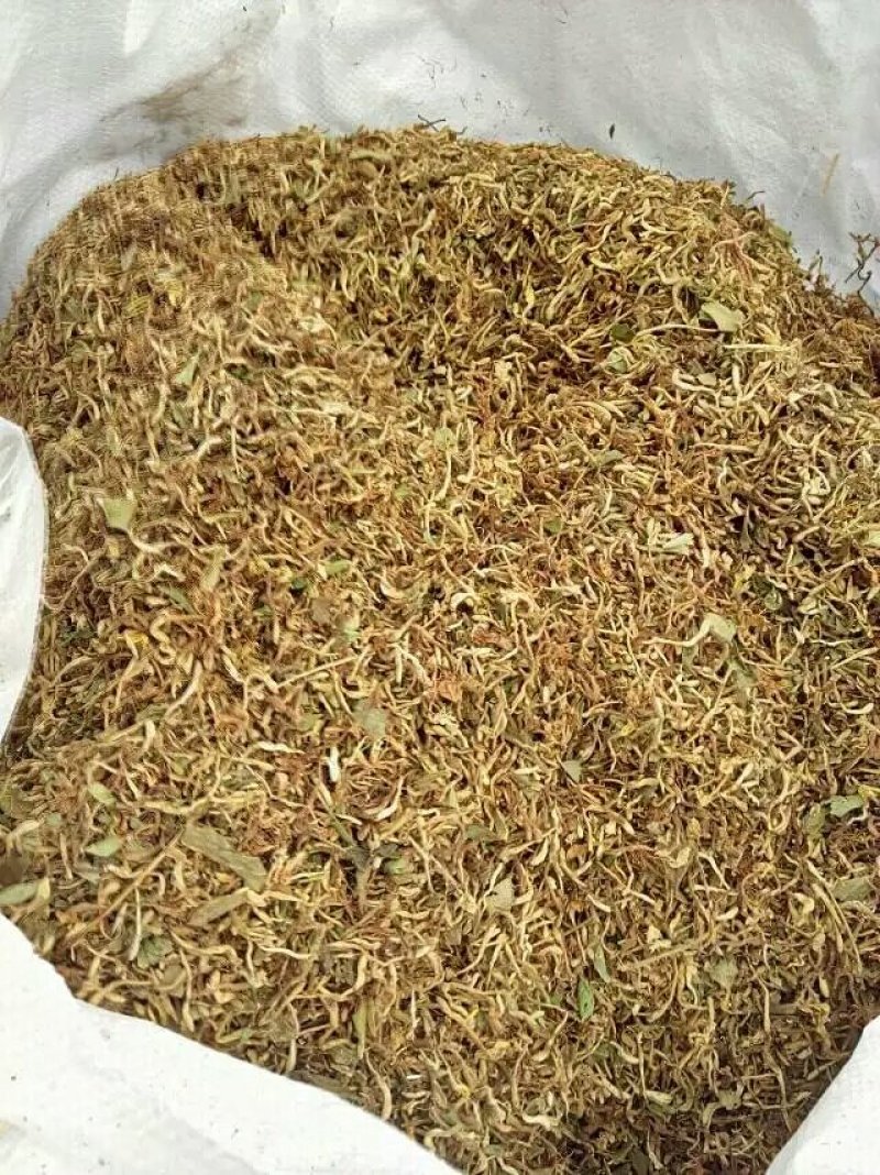 山东金银花优质农产品农户自产自销