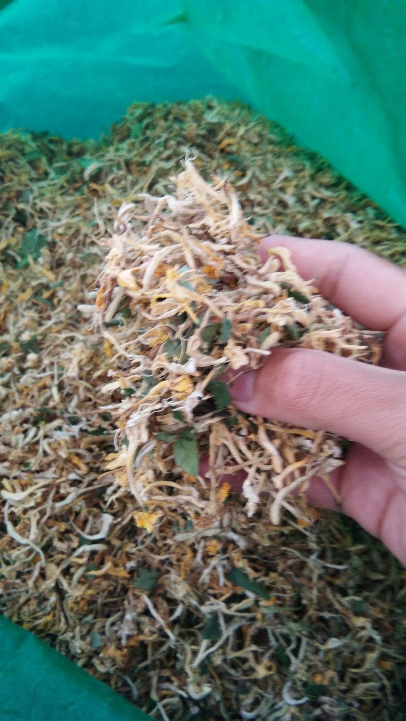 山东金银花优质农产品农户自产自销