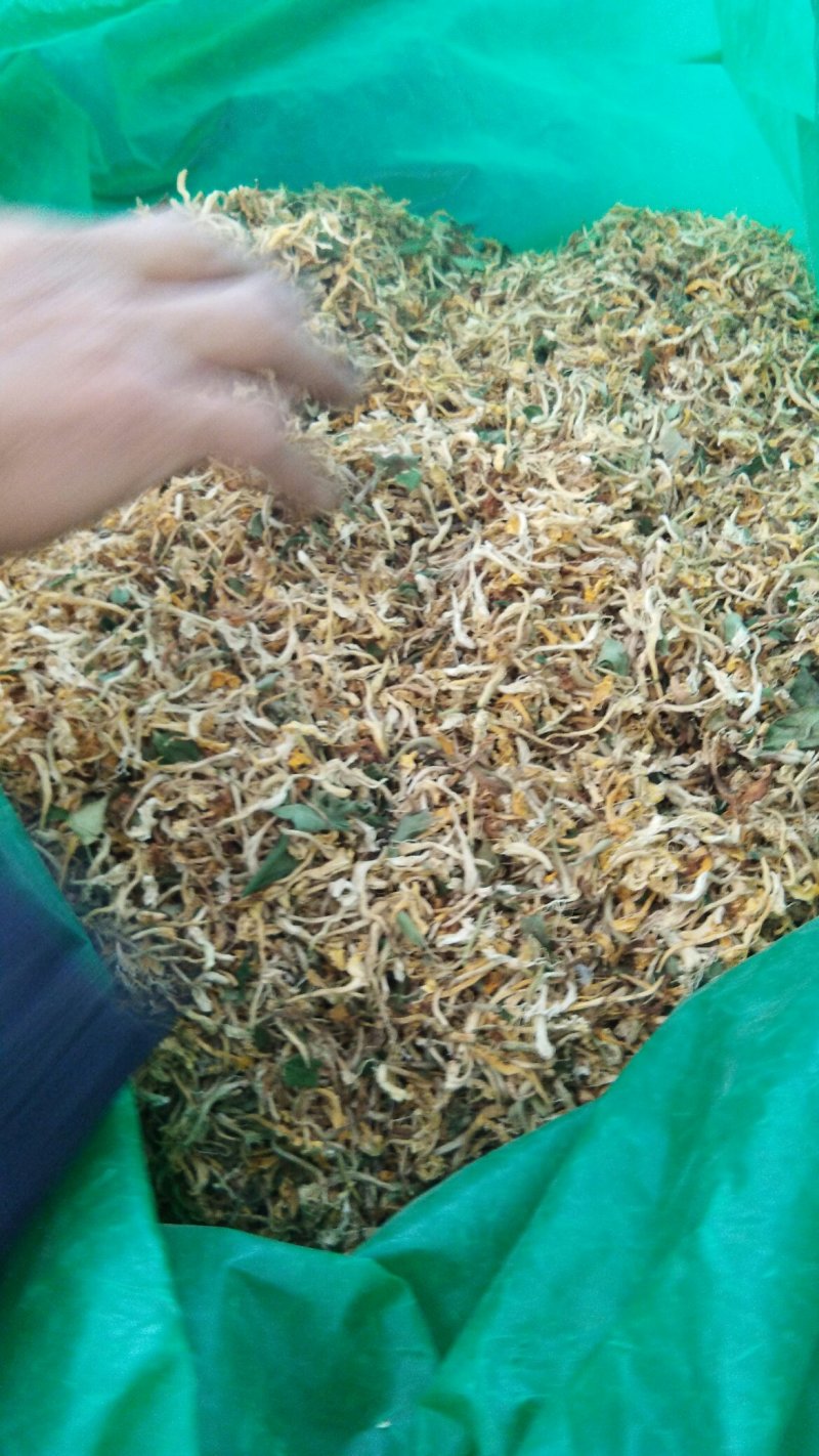 山东金银花优质农产品农户自产自销