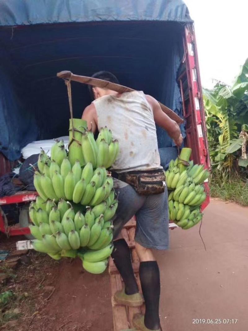 海南芭蕉，香蕉，大量有货