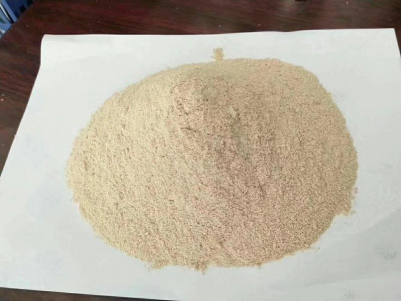 饲料