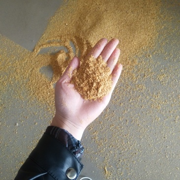 饲料