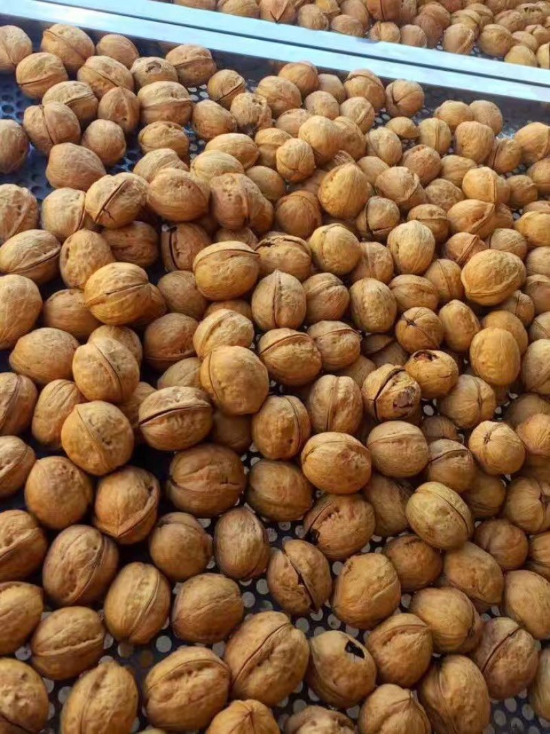 有好货拿样阿克苏纸皮核桃炒熟核桃大厂加工开裂正常有味好吃