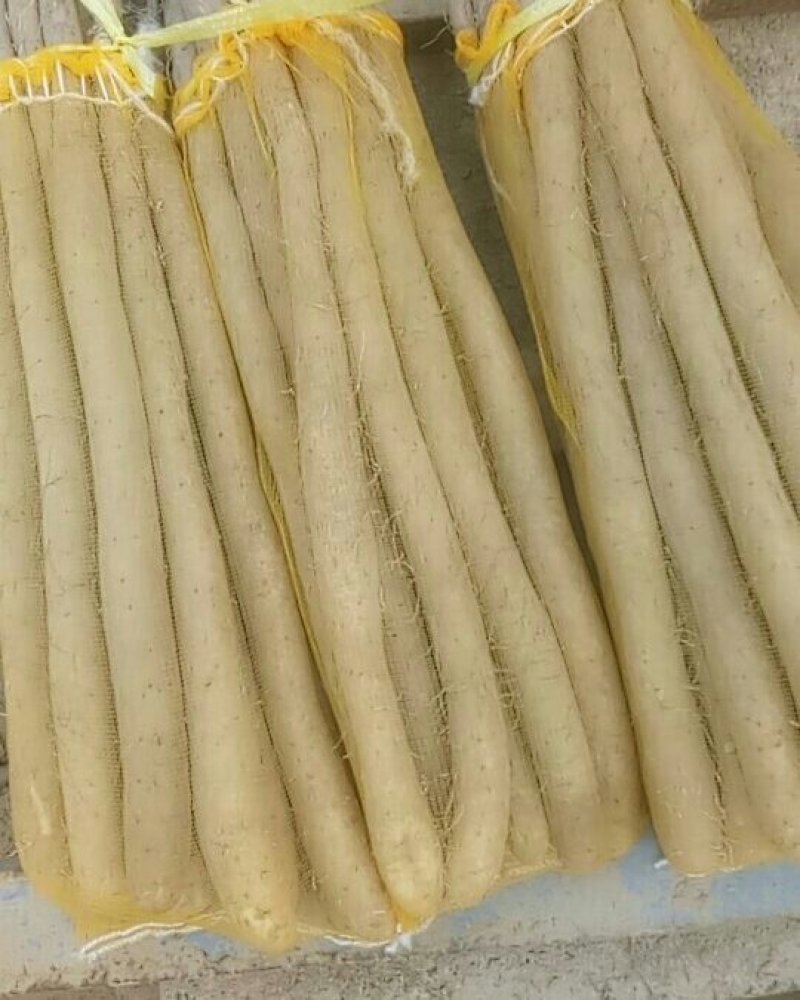 白玉网袋装的大量有货需要的联系