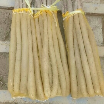 白玉网袋装的大量有货需要的联系