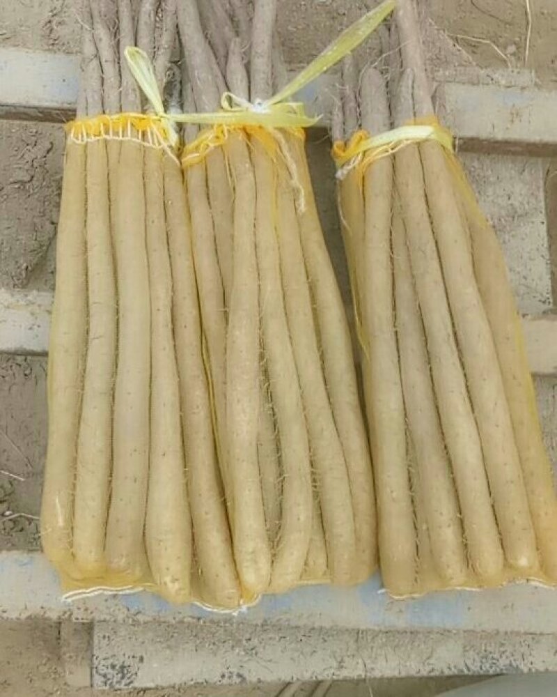 白玉网袋装的大量有货需要的联系