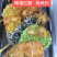 清新小肉排
