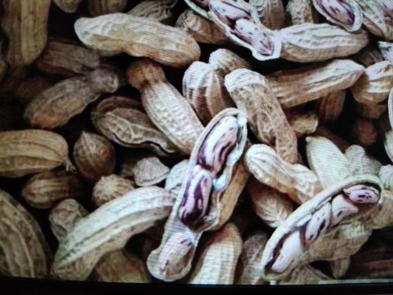 彩色花生，四粒黑是富硒黑花生的其中一种，产地直销