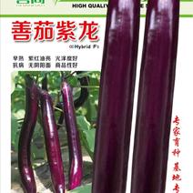 善茄紫龙杂交茄子种子紫红长茄线茄早熟杂交一代光泽度好