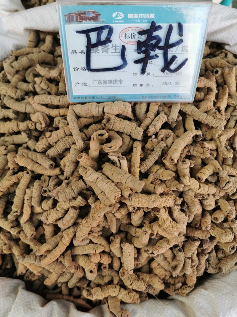 巴戟天巴戟男肾巴戟酒料配肉苁蓉锁