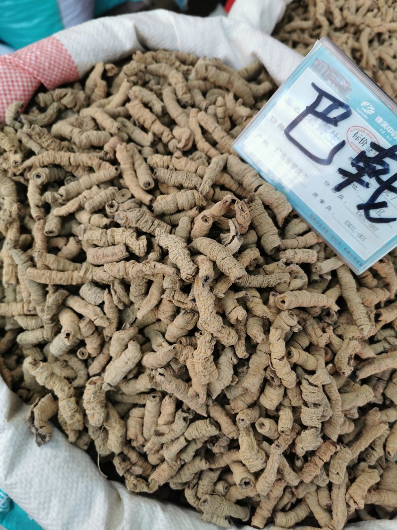 巴戟天巴戟男肾巴戟酒料配肉苁蓉锁
