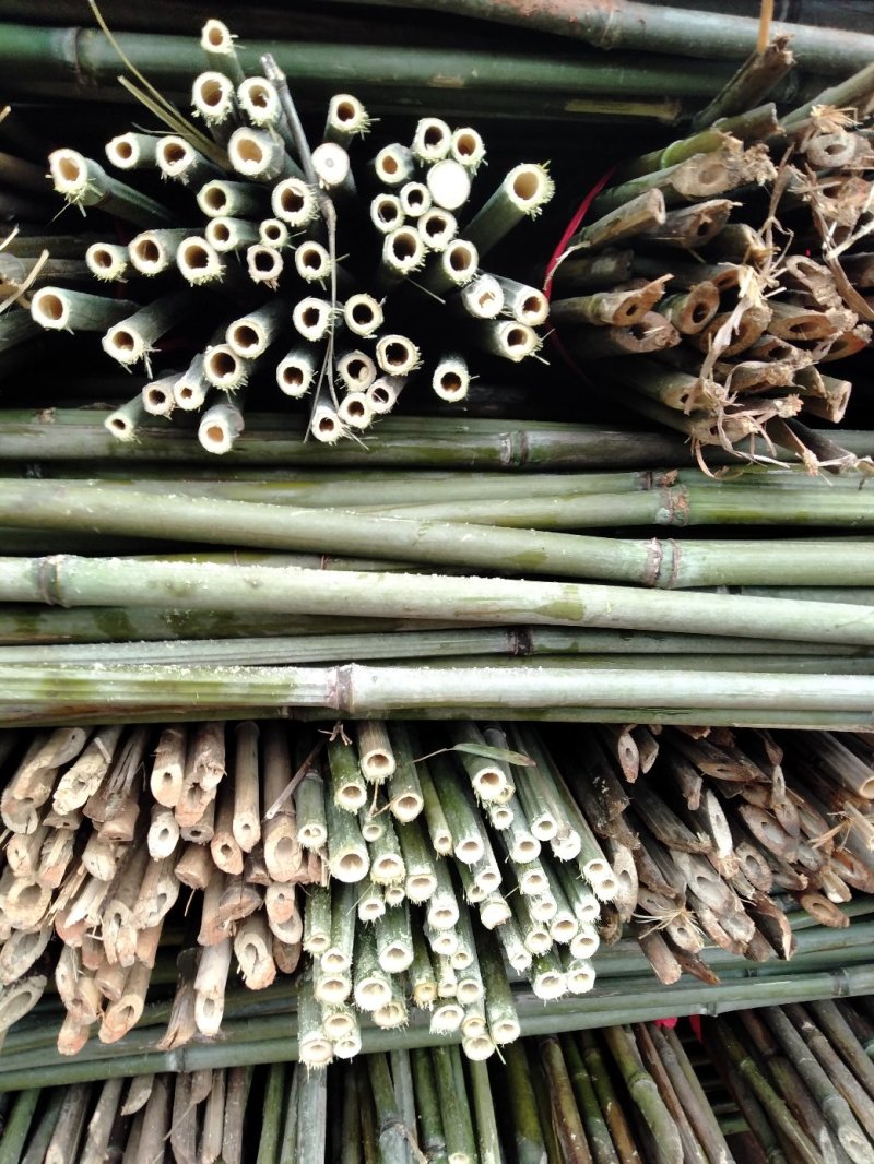 大量批各种规格的菜架竹竿量大丛优