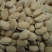 23年白扁豆包邮药食同源扁豆优质扁豆5斤起批