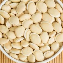 白扁豆药食同源扁豆优质扁豆5斤起批