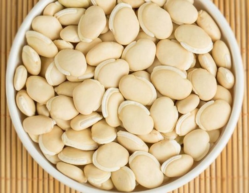 23年白扁豆包邮药食同源扁豆优质扁豆5斤起批