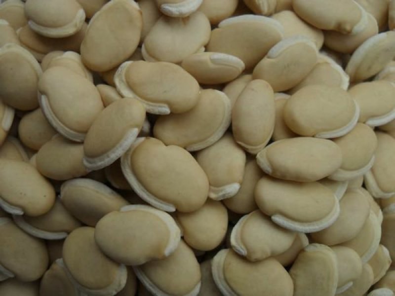23年白扁豆包邮药食同源扁豆优质扁豆5斤起批