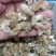 辛夷花1公斤起批不包邮量大电议，供应各种中药材