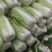 山东北京三号大白菜山东大白菜方包平包包纸全国发货