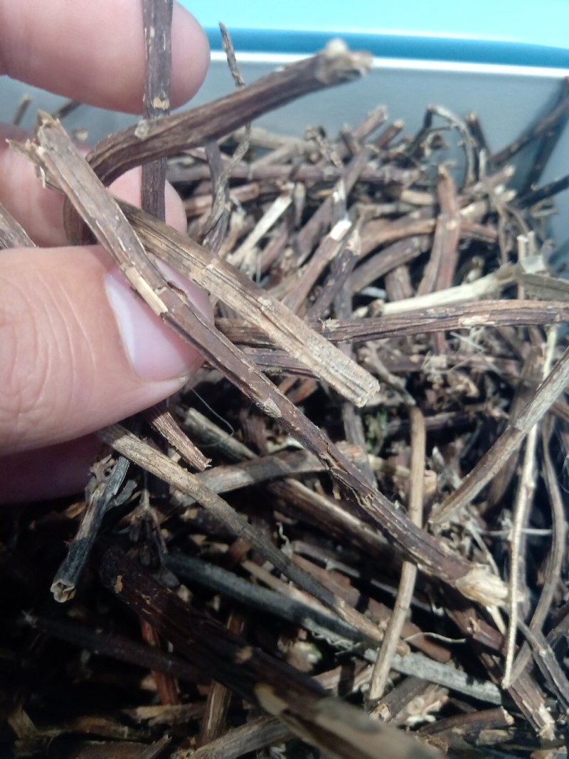景天三七1公斤起批不包邮供应各种中药材欢迎咨询各种中药材
