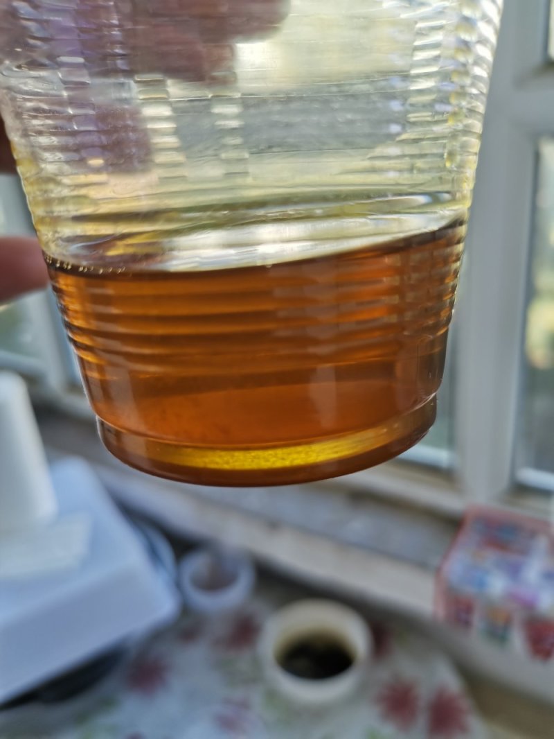 新疆油菜油色黄亮香味儿好亮油38-40水分8左右