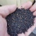 新疆油菜油色黄亮香味儿好亮油38-40水分8左右