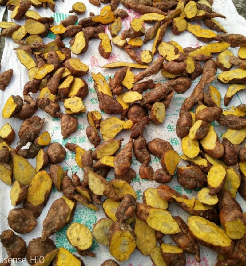 荷首乌（干片）自种，九蒸十晒