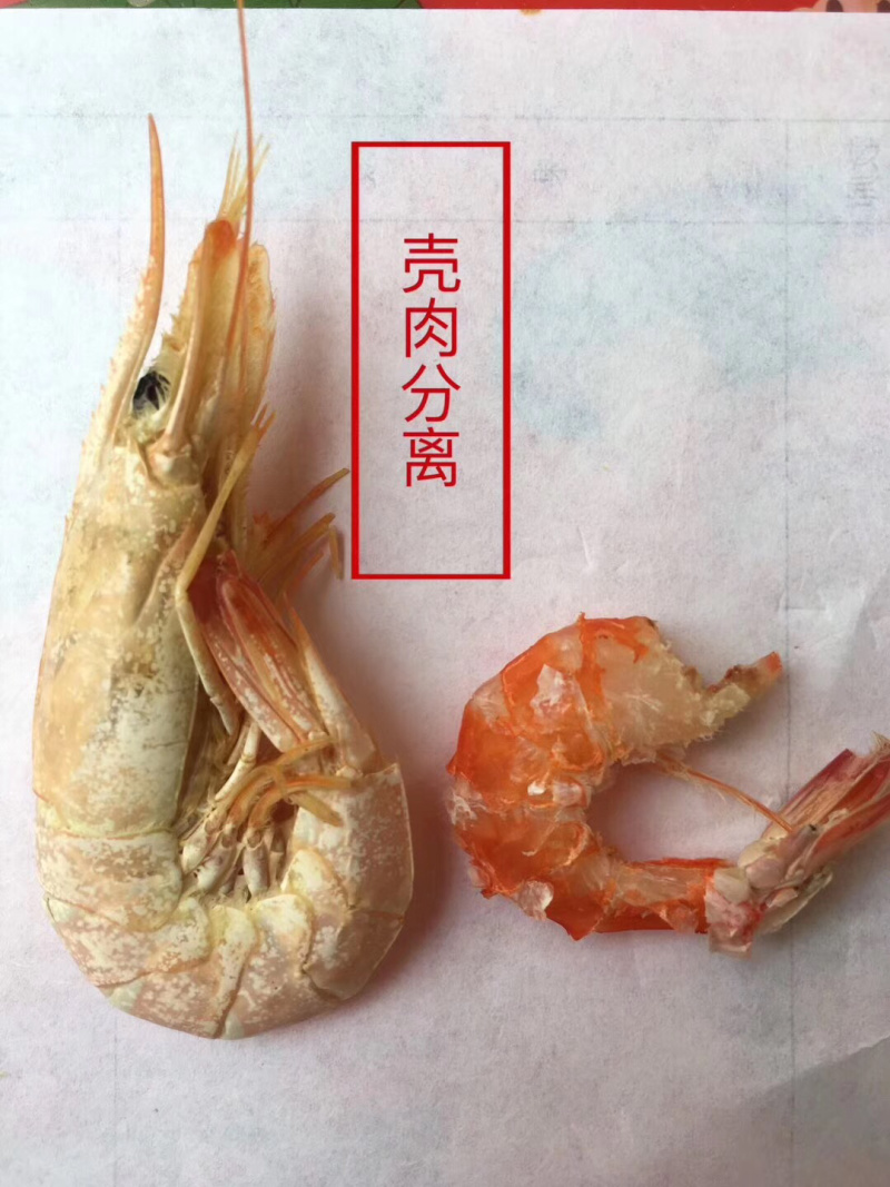 天然海虾干（百分百海虾干）