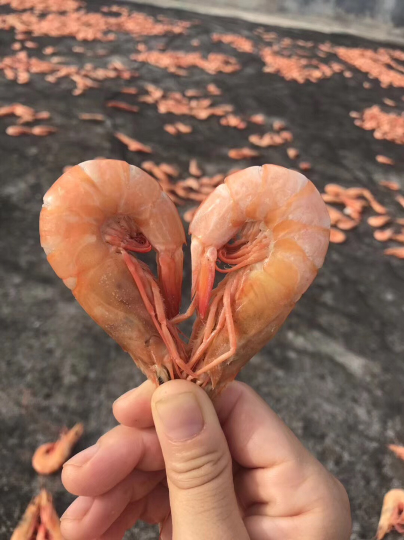 天然海虾干（百分百海虾干）
