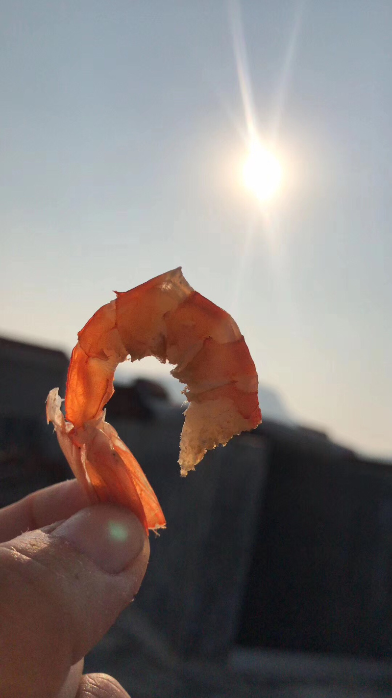 天然海虾干（百分百海虾干）