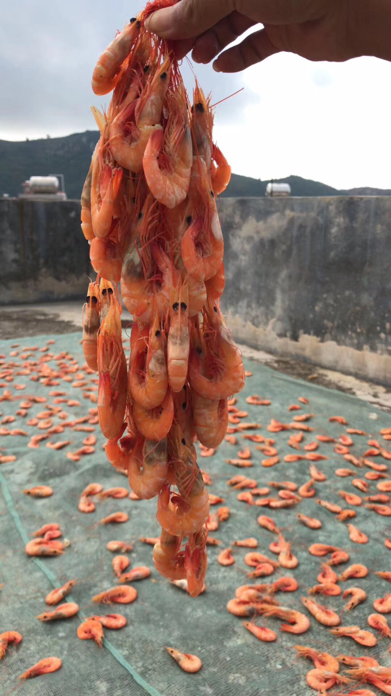 天然海虾干（百分百海虾干）