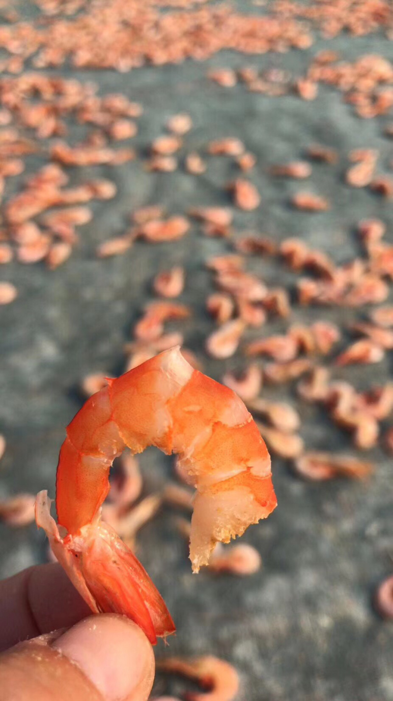 天然海虾干（百分百海虾干）