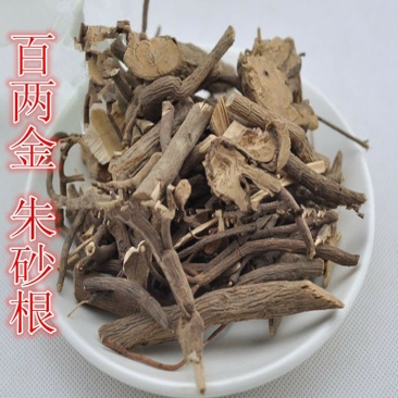 百两金八爪龙朱砂根无硫净货保正品批发零售冷背中药材