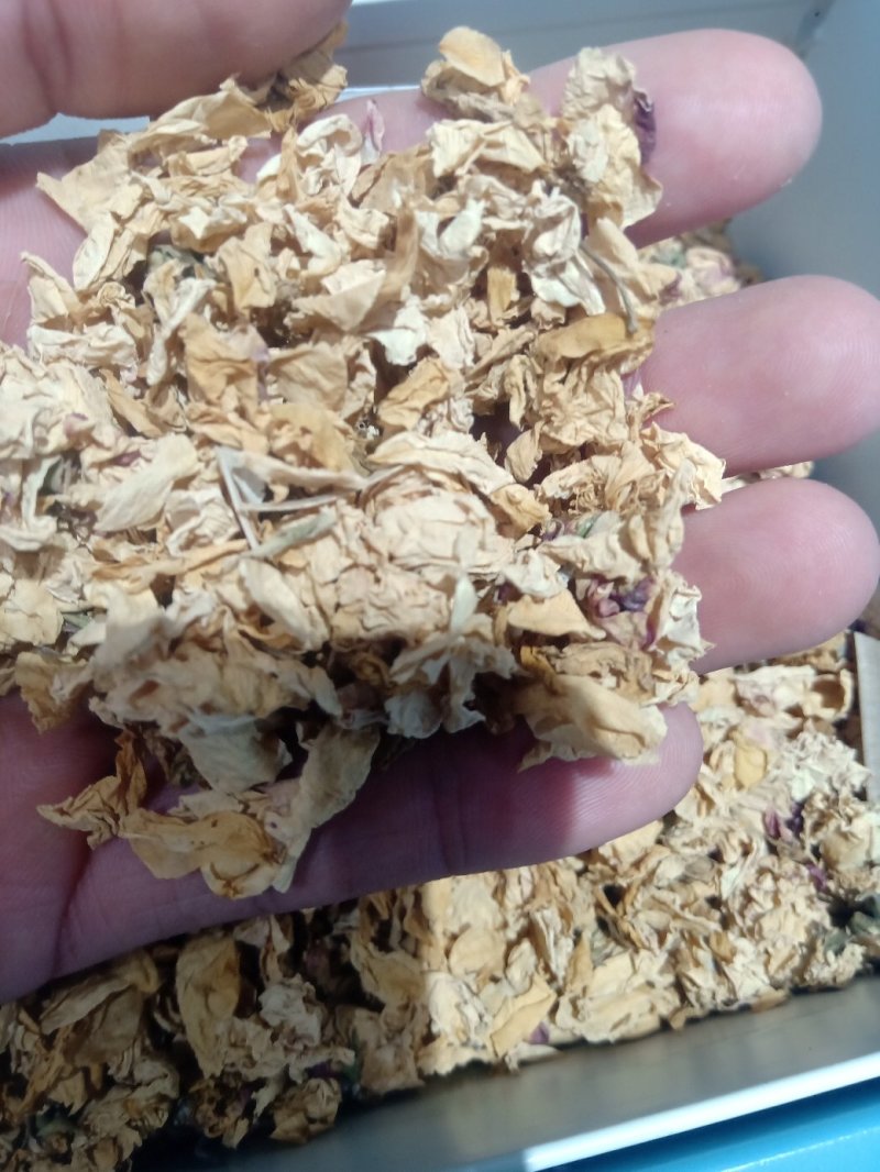 白残花蔷薇花1公斤起批不包邮电议