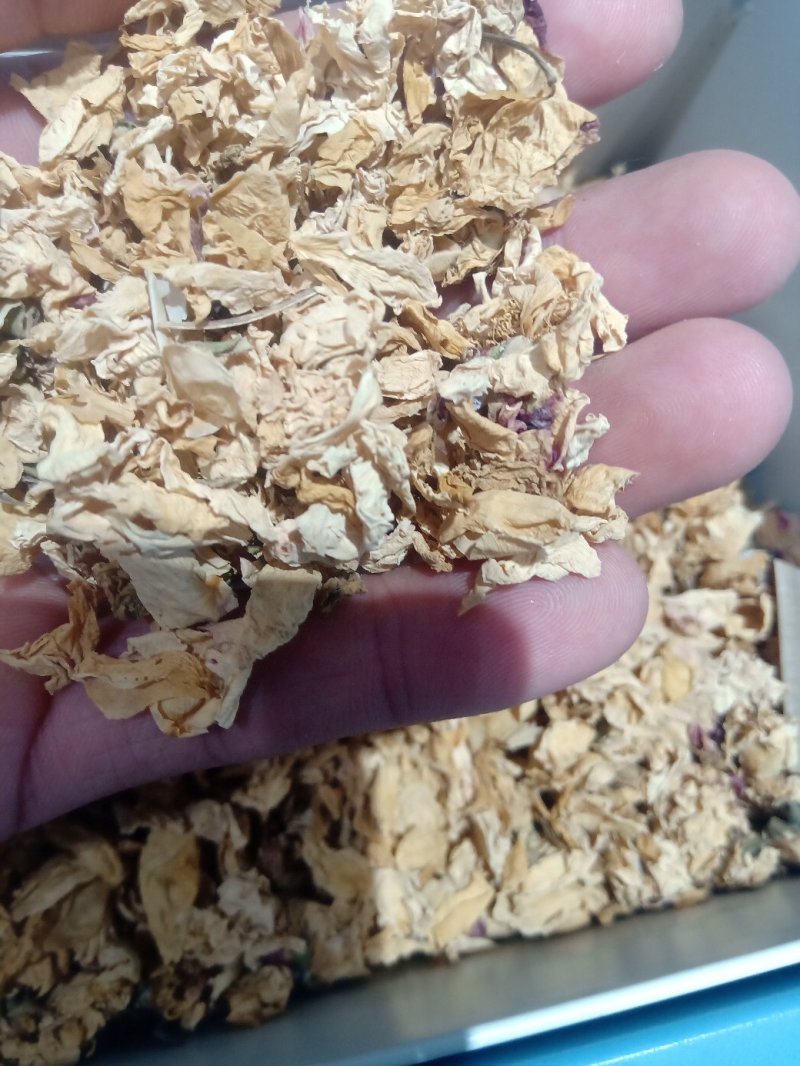 白残花蔷薇花1公斤起批不包邮电议