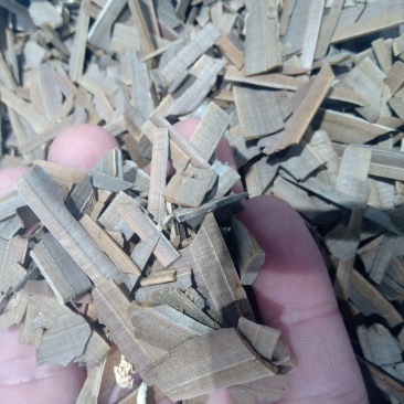鬼箭羽1公斤起批不包邮量大电议