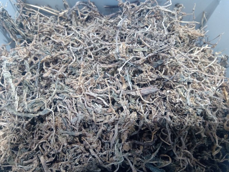 垂盆草1公斤起批不包邮量大电议欢迎咨询各种中药材