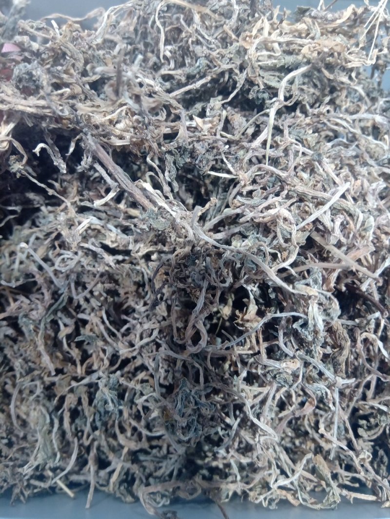 垂盆草1公斤起批不包邮量大电议欢迎咨询各种中药材