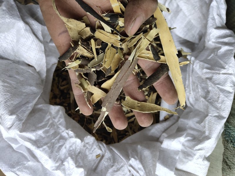 秦皮碎渣块不含运费支持混批量大从优品种多多