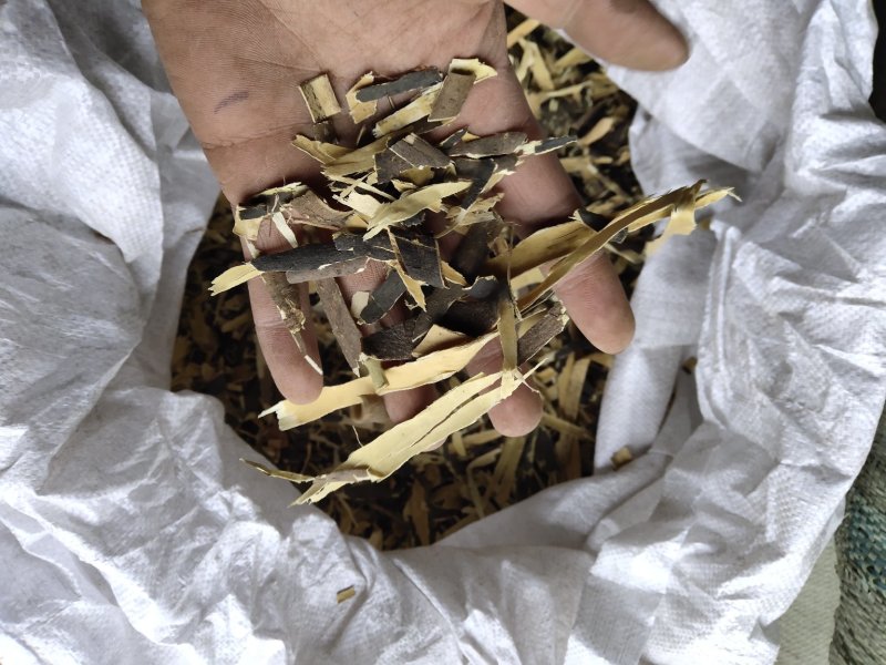 秦皮碎渣块不含运费支持混批量大从优品种多多
