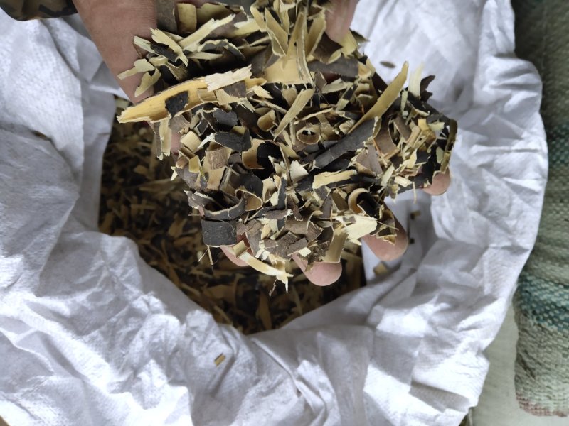 秦皮碎渣块不含运费支持混批量大从优品种多多