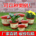 仿陶瓷花盆果树盆塑料花盆