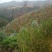 荒山