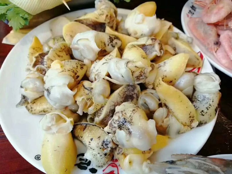 假鲍鱼肉，假鲍鱼壳，网红爆款！熟冻，冰鲜批发零售