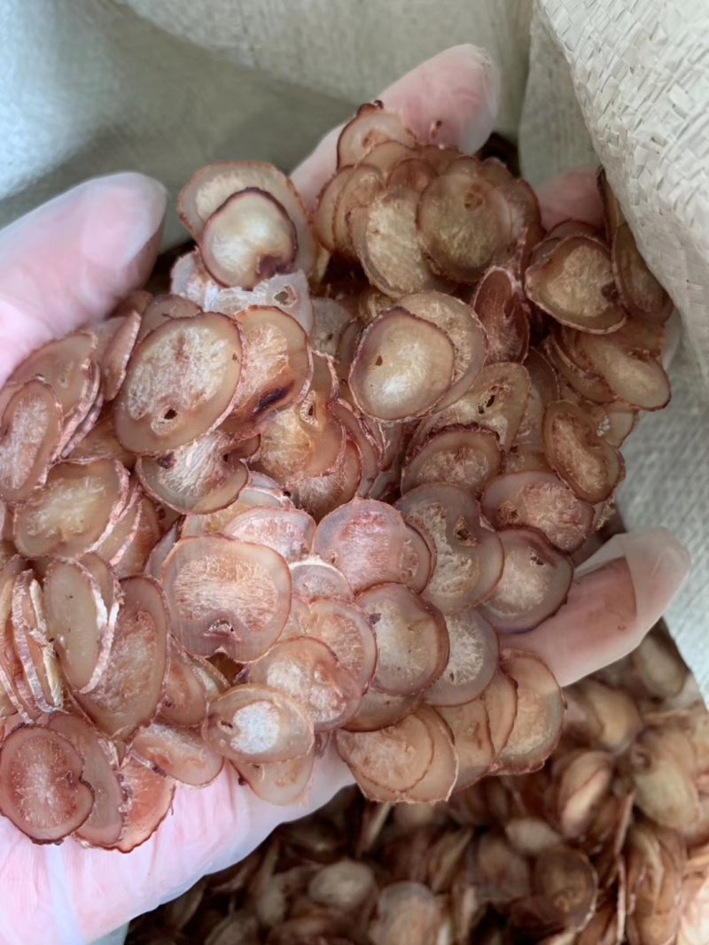 精品高质量鹿鞭片煲汤泡水泡酒都可以