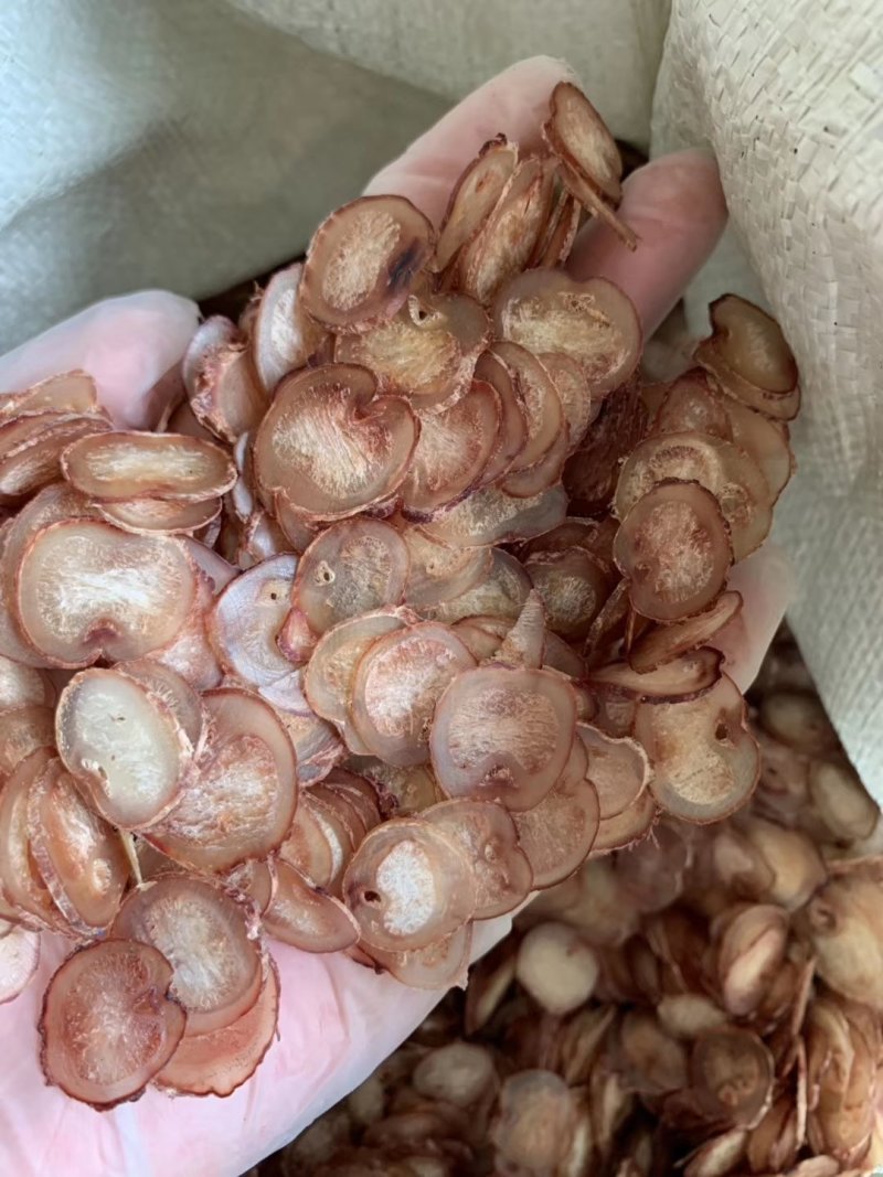 精品高质量鹿鞭片煲汤泡水泡酒都可以