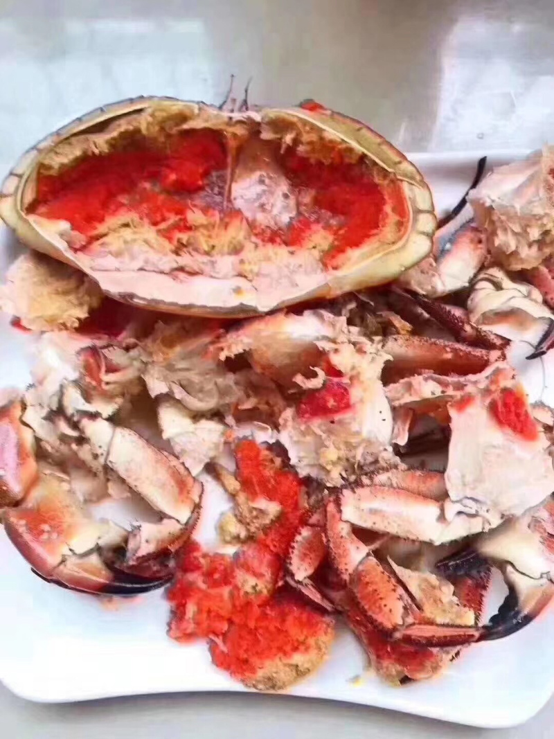 熟冻面包蟹，熟冻面包蟹