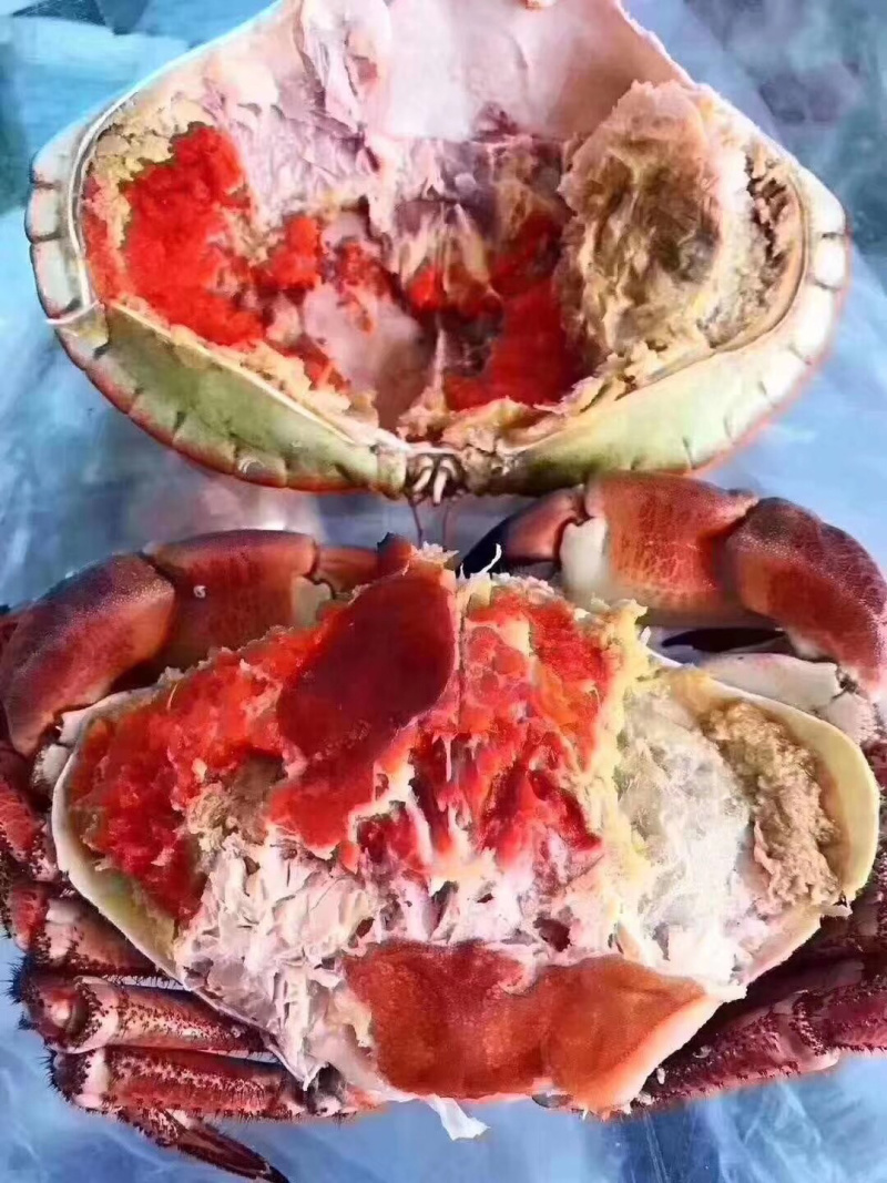 熟冻面包蟹，熟冻面包蟹