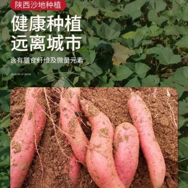 自家农产品